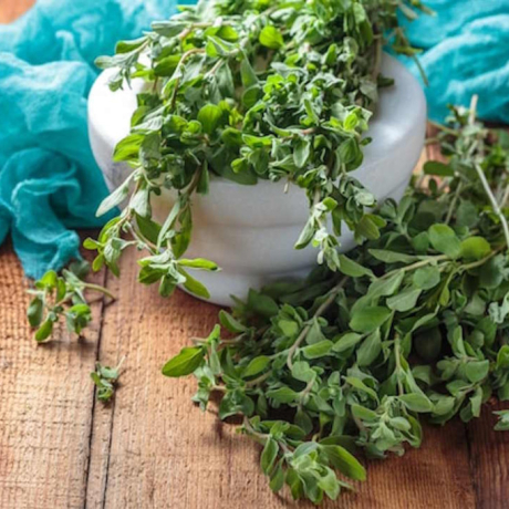 Marjolaine: 4 bienfaits à connaitre absolument