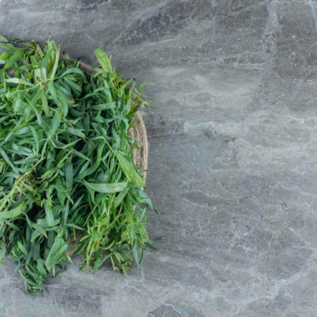 Sarriette bienfaits : une plante méditerranéenne aux multiples vertus