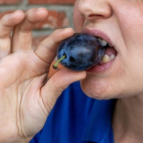 Les bienfaits du pruneaux de la digestion au squelette