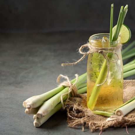 Citronnelle : 3 bienfaits prouvés pour votre santé