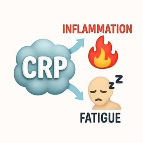 Pourquoi une CRP élevée cause-t-elle de la fatigue ?