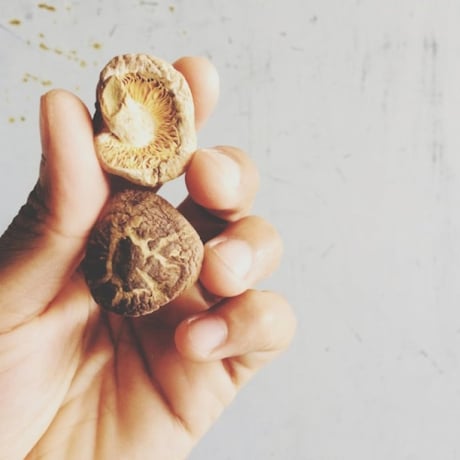 Shiitake : ses 3 bienfaits pour l'immunité et la santé