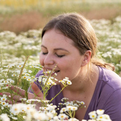 Valériane : le guide complet sur ses bienfaits pour le sommeil et le stress