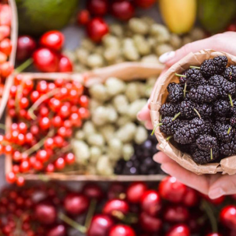 Resvératrol : l’antioxydant naturel aux multiples bienfaits