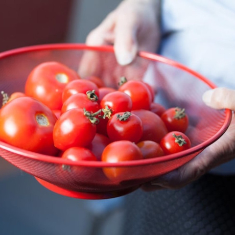 Lycophène : un antioxydant puissant pour votre santé