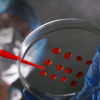 Neutrophiles haut ou bas : comprendre le rempart de votre immunité