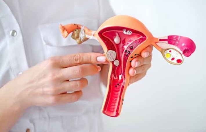 Utérus antéversé : définition, symptômes, sport et fertilité