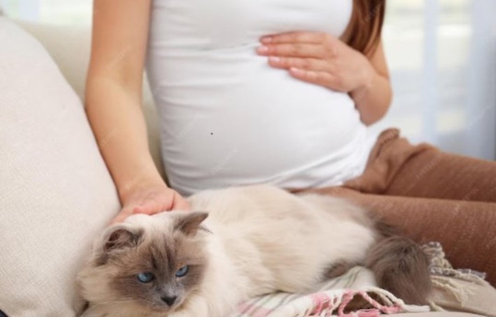 Toxoplasmose : Qu’est-ce que c’est et comment s’en protéger ?