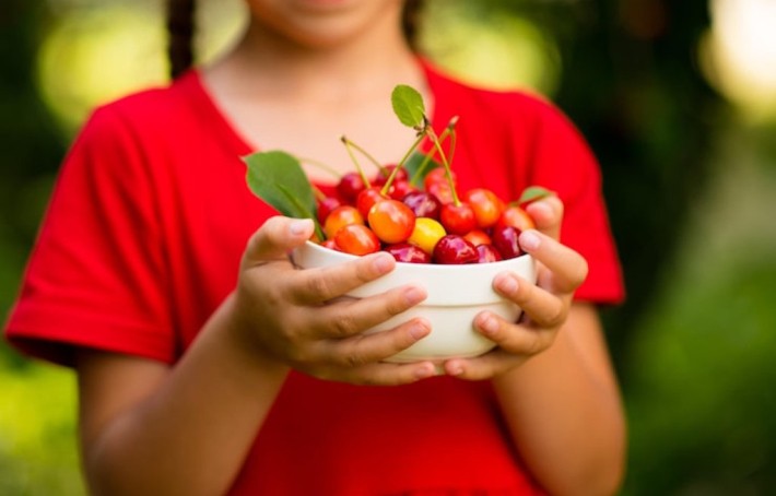 Les bienfaits et propriétés de l’acérola : la reine de la Vitamine C