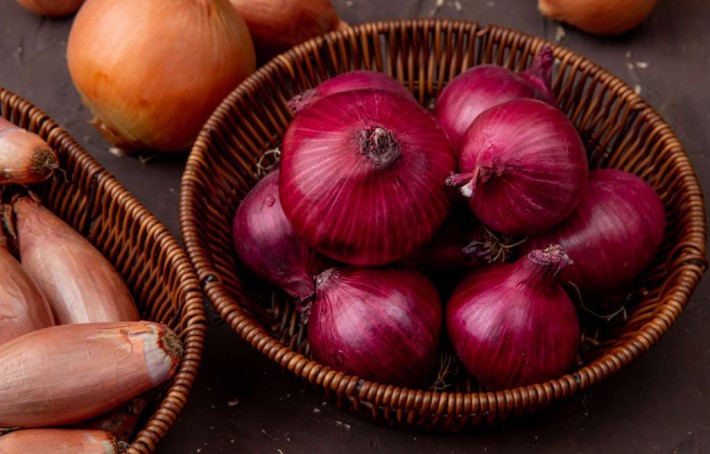 Oignon : bienfaits, valeurs nutritionnelles et conseils d’utilisation