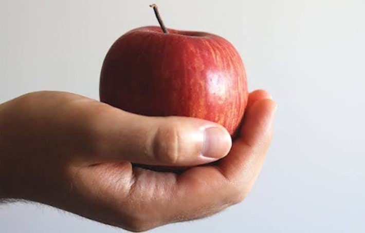 Top 10 des meilleurs aliments coupe-faim