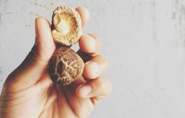 Shiitake : ses 3 bienfaits pour l'immunité et la santé
