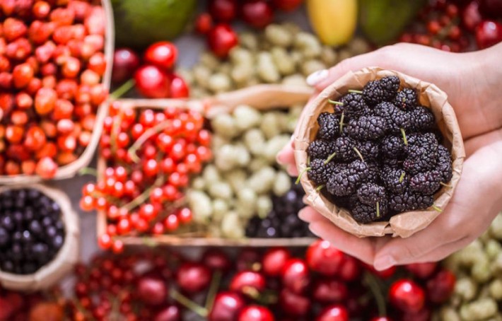 Resvératrol : l’antioxydant naturel aux multiples bienfaits