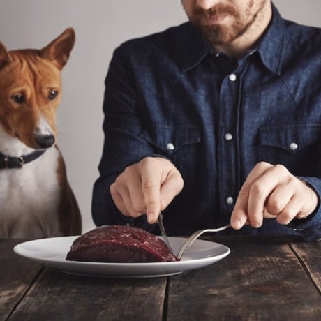 Quels sont les aliments bons pour le foie ?