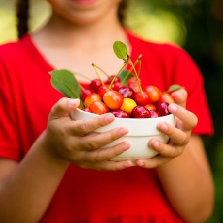Les bienfaits et propriétés de l’acérola : la reine de la Vitamine C
