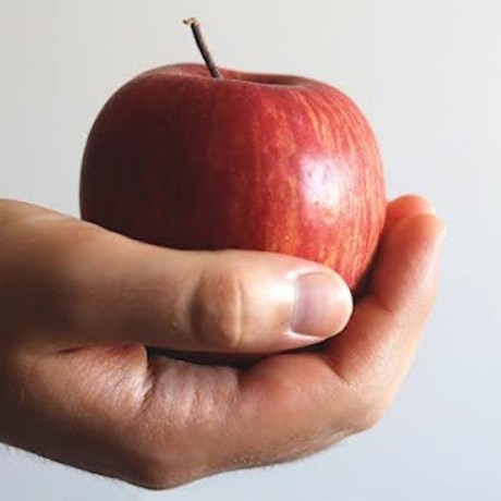 Top 10 des meilleurs aliments coupe-faim