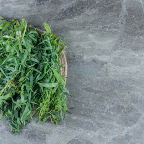 Sarriette bienfaits : une plante méditerranéenne aux multiples vertus