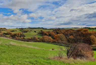 Projet de plantation de haies champêtres pour compenser nos émissions de CO2